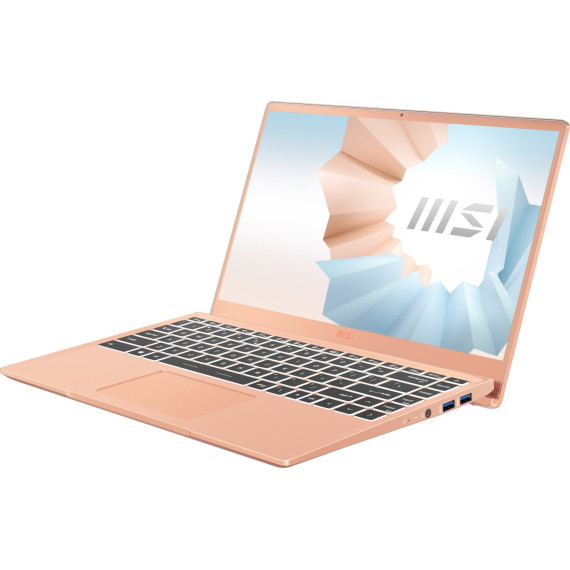 MSI Modern B11MO-1246 (Modern14B1246)