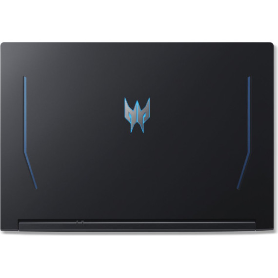 Acer Predator Helios 300 PH317-55-790N Abyssal Black (NH.QB7EC.007)