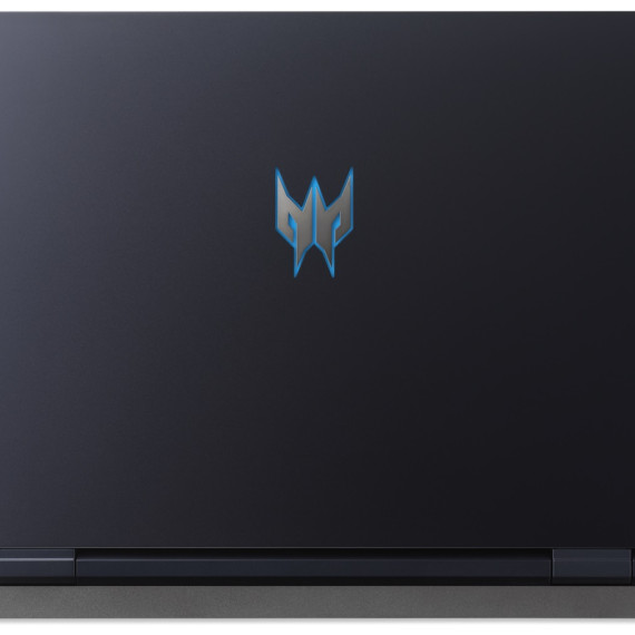 Acer Predator Helios 300 PH315-55 (NH.QH9AA.021)
