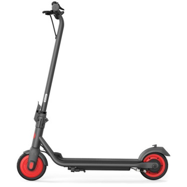 Электросамокат Ninebot eKickScooter ZING C20 Black (AA.00.0011.54)