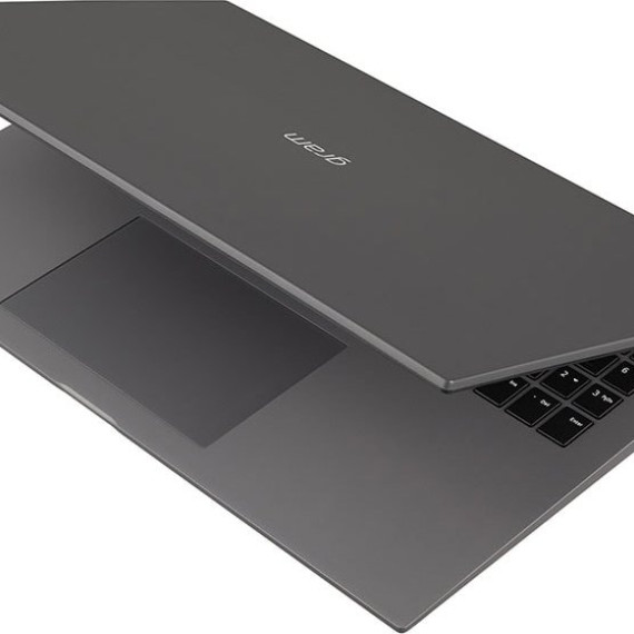 LG Gram 16 (16T90P-K.AAG7U1)