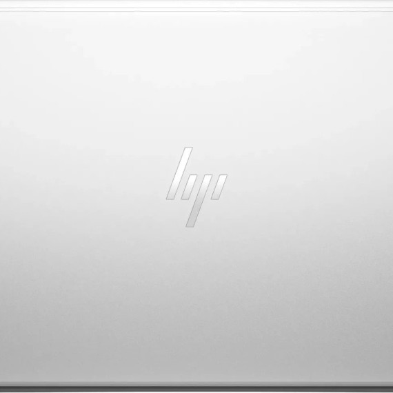 HP EliteBook 650 G10 Silver (736V5AV_V2)