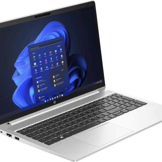 HP ProBook 450 G10 Silver (85D05EA)