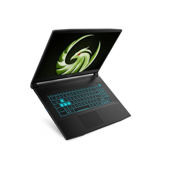 MSI Bravo 17 D7VE (D7VE-077XPL)