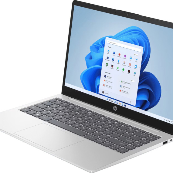 HP 15-fd0017ua Natural Silver (825G6EA)