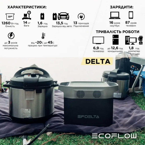 EcoFlow DELTA (EFDELTA1300-EU) (Витрина)