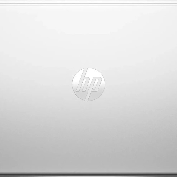 HP ProBook 450 G10 Silver (9X1Q4ES)