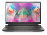 Купить Ноутбук Dell G15 5510 (G15558S3NDL-60G)