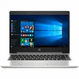 Купить Ноутбук HP ProBook 445 G7 Silver (7RX18AV_V5)