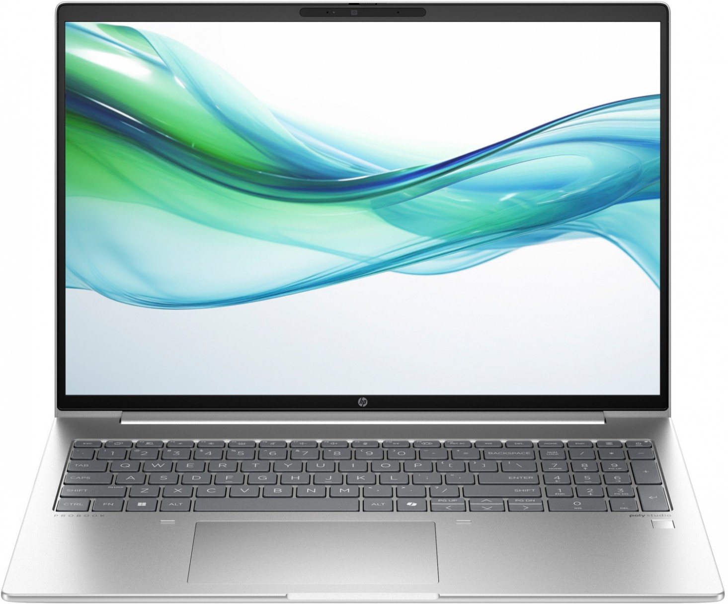 Купить Ноутбук HP ProBook 465 G11 Pike Silver (901H6AV_V3) - ITMag