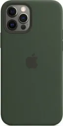 Apple iPhone 12/12 Pro Silicone Case with MagSafe - Cyprus Green (MHL33) Copy