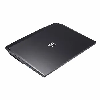Купить Ноутбук Dream Machines RX2060-17 (RX2060-17UA33) - ITMag