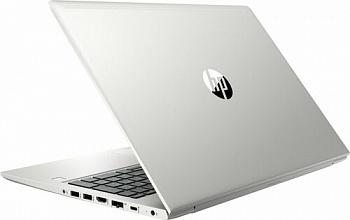 Купить Ноутбук HP ProBook 455 G7 Silver (7JN02AV_V2) - ITMag