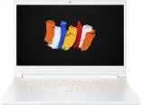 Купить Ноутбук Acer ConceptD 3 Pro CN315-71P-58N0 (NX.C58AA.002)