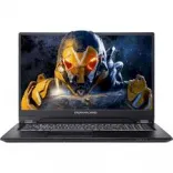 Купить Ноутбук Dream Machines RS2080Q-17 (RS2080Q-17UA28)