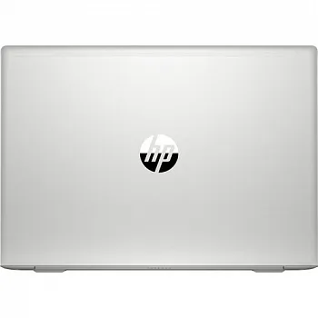 Купить Ноутбук HP ProBook 455 G7 Silver (7JN02AV_V6) - ITMag