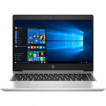 Купить Ноутбук HP ProBook 445 G7 Silver (7RX17AV_V9) - ITMag