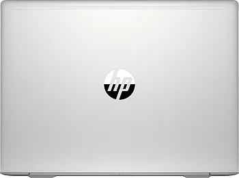 Купить Ноутбук HP ProBook 445 G7 Silver (7RX17AV_V8) - ITMag