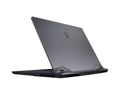 Купить Ноутбук MSI GE66 Raider 11UG (11UG-445) - ITMag