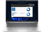 Купить Ноутбук HP ProBook 445 G11 Pike Silver (8Z9P4AV_V2)