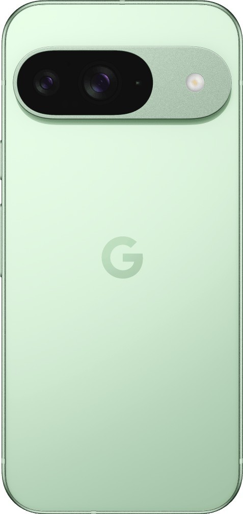 Google Pixel 9 12/256GB Wintergreen - ITMag