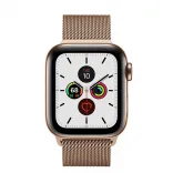 Apple Watch Series 5 LTE 40mm Gold Steel w. Gold Milanese Loop - Gold Steel (MWWV2)