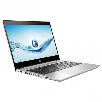 Купить Ноутбук HP ProBook 450 G6 Silver (4TC94AV) - ITMag