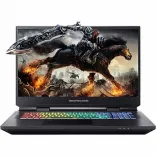 Купить Ноутбук Dream Machines RX2060-17 Black (RX2060-17UA31)