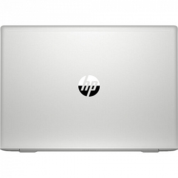 Купить Ноутбук HP ProBook 455 G7 Silver (7JN02AV_TM2) - ITMag