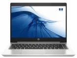 Купить Ноутбук HP ProBook 445 G7 Silver (7RX17AV_V14)