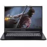 Купить Ноутбук Dream Machines G1650-17 Black (G1650-17UA70)