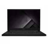 Купить Ноутбук MSI GS66 10SGS Stealth (GS66 10SGS-036US)