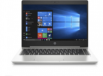 Купить Ноутбук HP ProBook 455 G7 Silver (7JN03AV_V11) - ITMag
