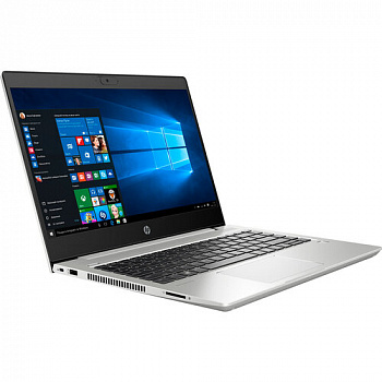 Купить Ноутбук HP ProBook 445 G7 SIlver (7RX17AV_V5) - ITMag