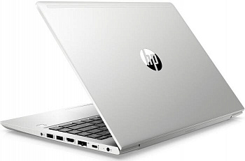 Купить Ноутбук HP ProBook 445 G7 Silver (7RX17AV_V3) - ITMag
