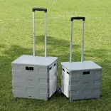 Тележка Xiaomi Youpin Maiwei Unfolded Storage Trolley Case Gray 55L (3148108)