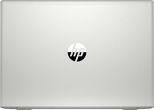 Купить Ноутбук HP Probook 455 G7 Silver (2D239EA) - ITMag