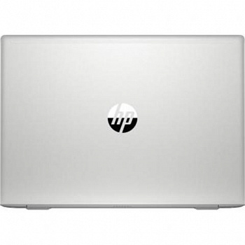 Купить Ноутбук HP ProBook 455 G7 Silver (7JN03AV_V13) - ITMag