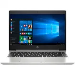 Купить Ноутбук HP ProBook 445 G7 (7RX16AV_V1)