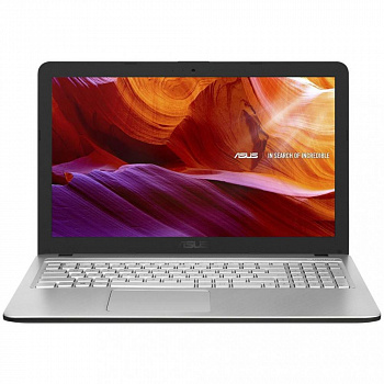 Купить Ноутбук ASUS X543UA Silver (X543UA-DM1899) - ITMag