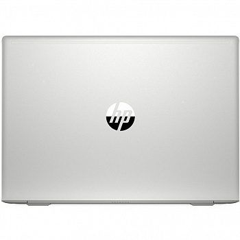 Купить Ноутбук HP ProBook 455 G7 Silver (7JN02AV_V7) - ITMag