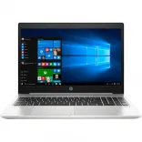 Купить Ноутбук HP ProBook 455 G7 Silver (175V2EA)