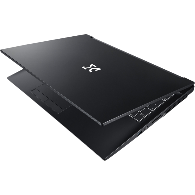 Купить Ноутбук Dream Machines RG3050-15 Black (RG3050-15UA33) - ITMag