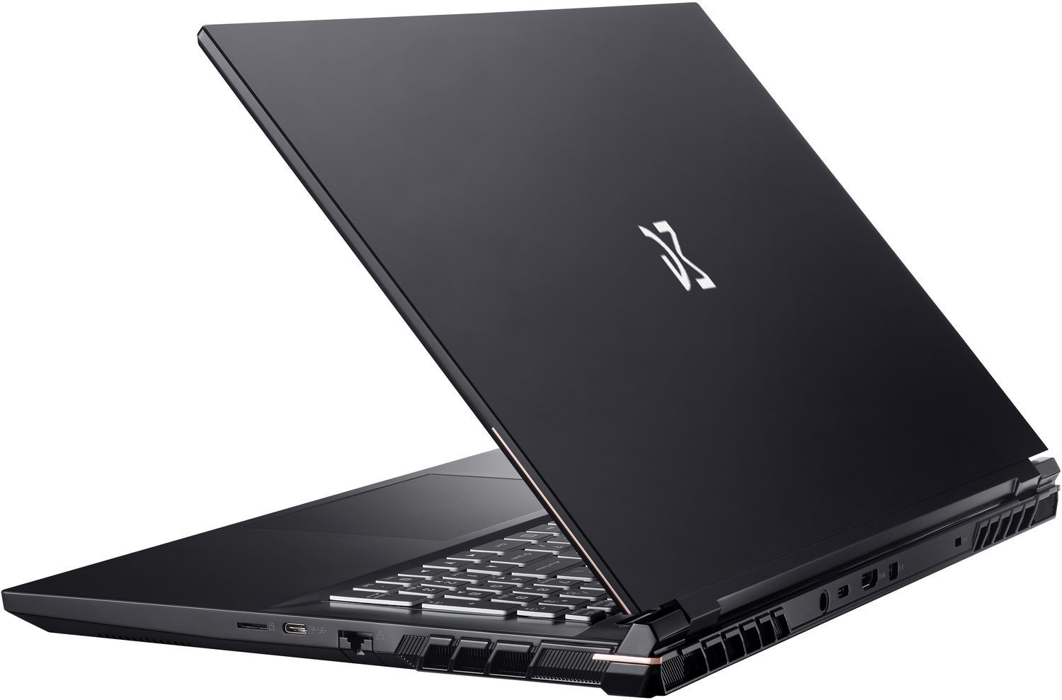 Купить Ноутбук Dream Machines RS3080-17 Black (RS3080-17UA36) - ITMag