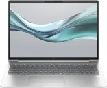 Купить Ноутбук HP EliteBook 665 G11 Silver (8Z719AV_V3)