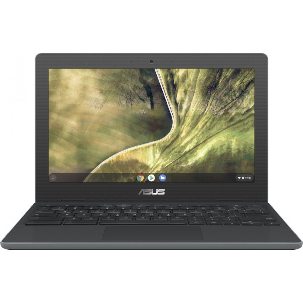 Купить Ноутбук ASUS Chromebook C204 (C204MA-YB02-GR) - ITMag