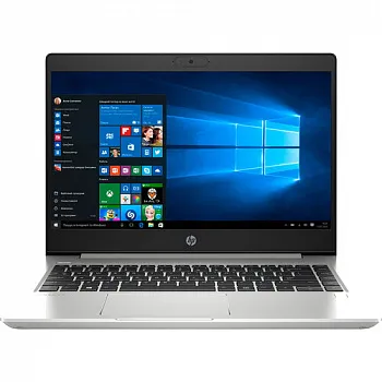 Купить Ноутбук HP ProBook 445 G7 Silver (7RX17AV_V1) - ITMag