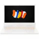 Купить Ноутбук Acer ConceptD 3 CN315-72G White (NX.C5XEU.004)