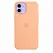 Apple iPhone 12 | 12 Pro Silicone Case with MagSafe - Cantaloupe (MK023) Copy - ITMag
