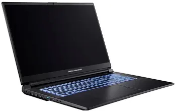 Купить Ноутбук Dream Machines RG3050-17 (RG3050-17PL55) - ITMag